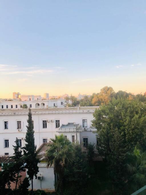 Apartamento De Luxe,au Coeur De Casa Casa Blanca